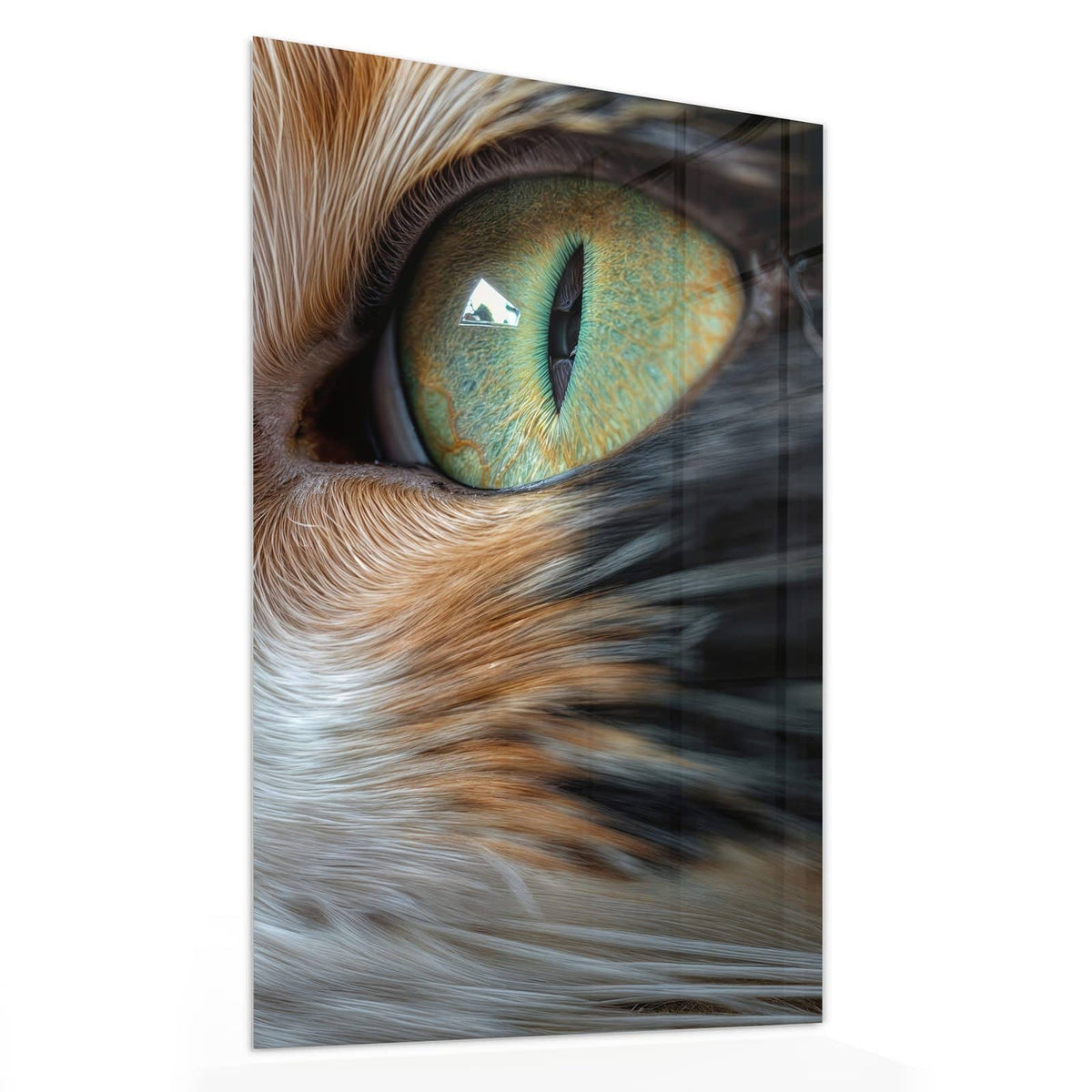 Glasbild Grünäugige Katze von der Seite, 4 mm Echtglas