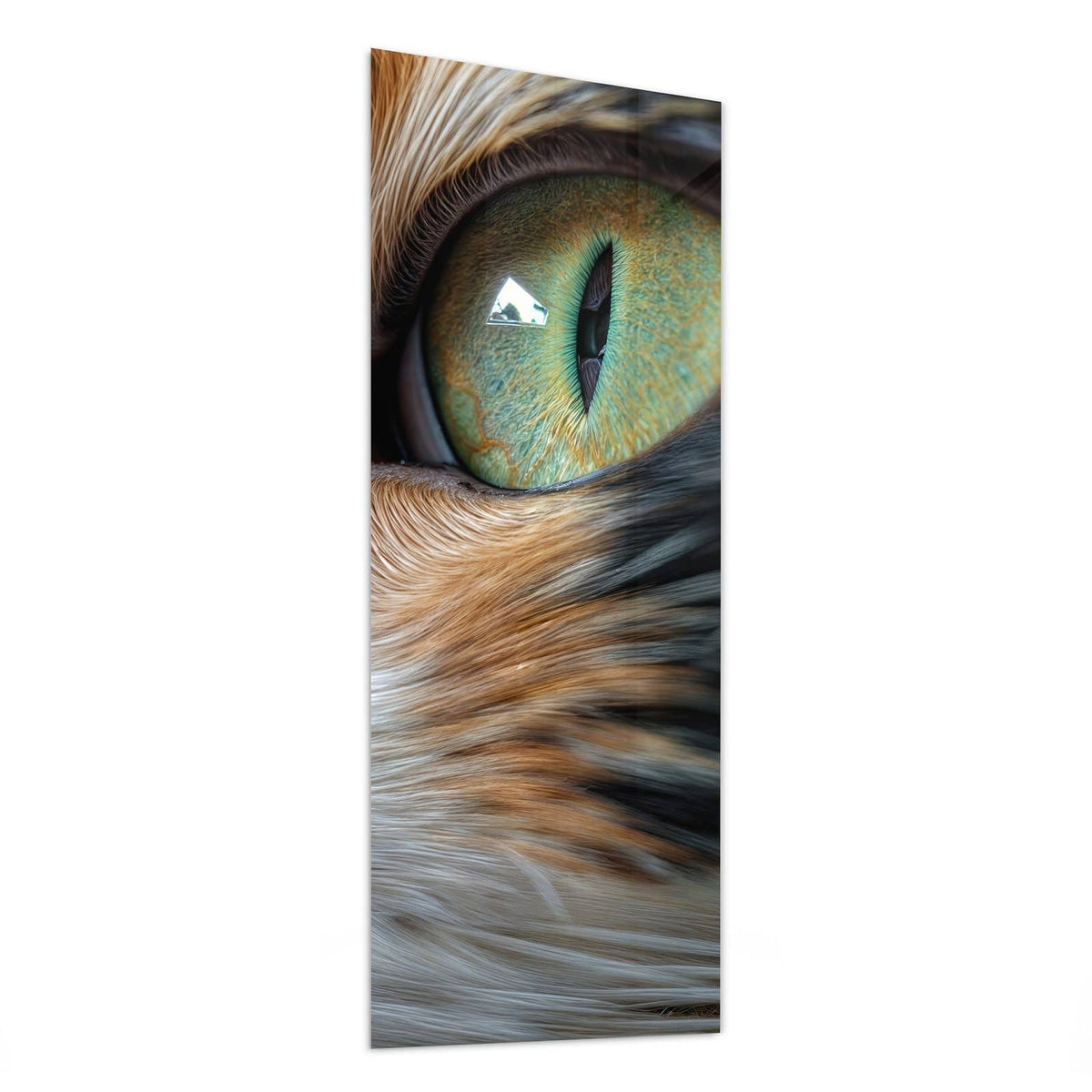 Glasbild Grünäugige Katze von der Seite, 4 mm Echtglas