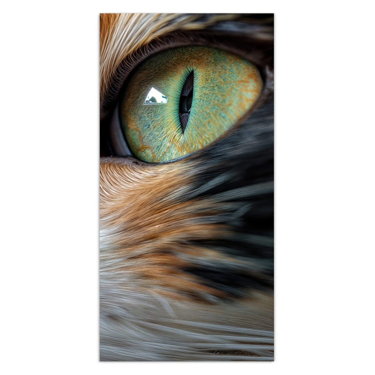 11 Größen – von 30 × 60 bis 60 × 150 cm – Wandbild - Grünäugige Katze - Hochformat