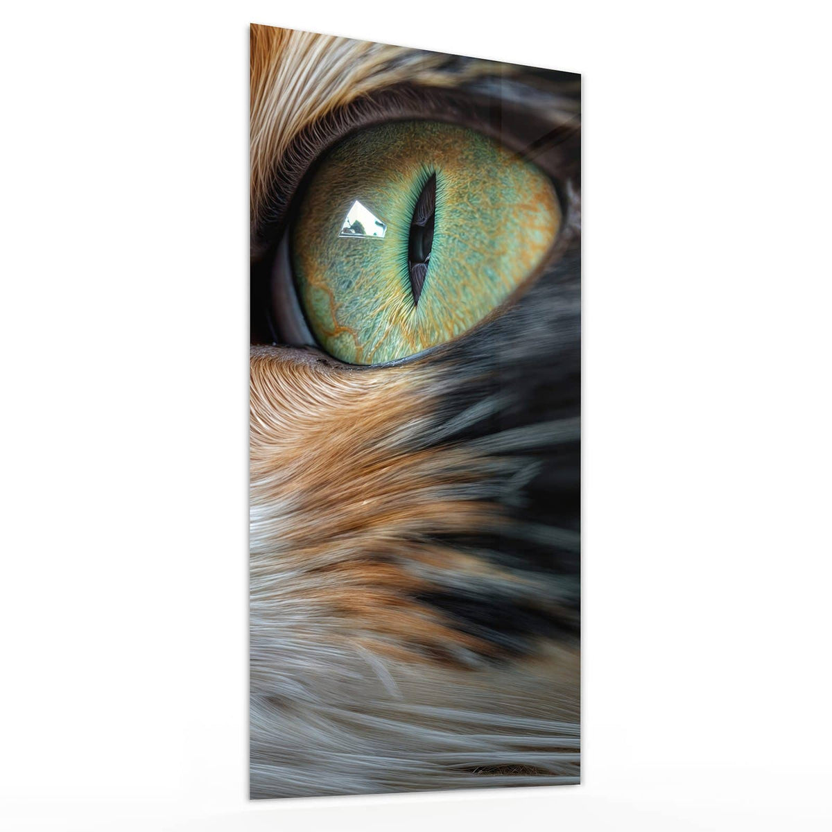 Glasbild Grünäugige Katze von der Seite, 4 mm Echtglas