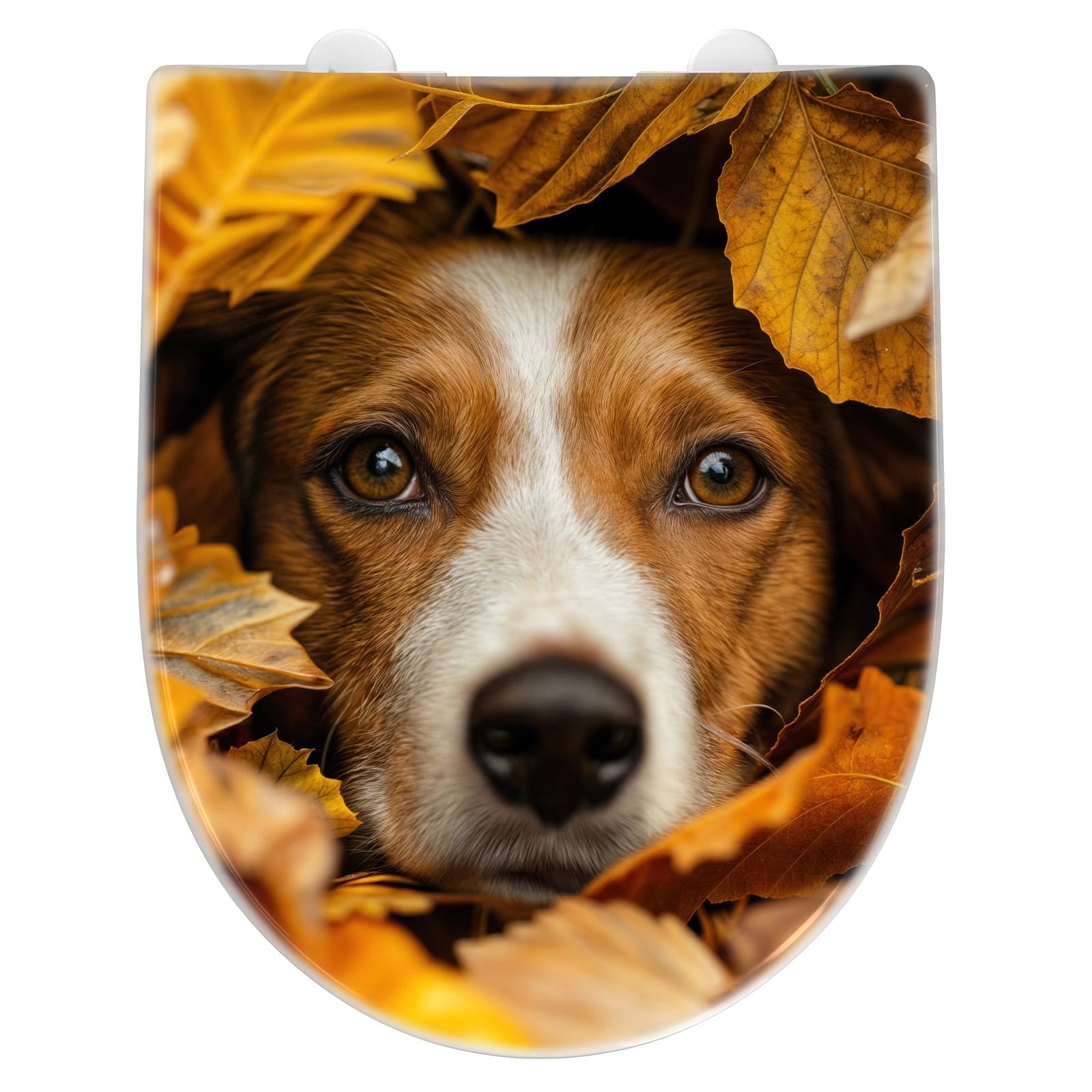 WC-Sitz mit Absenkautomatik Hund im Herbstlaub