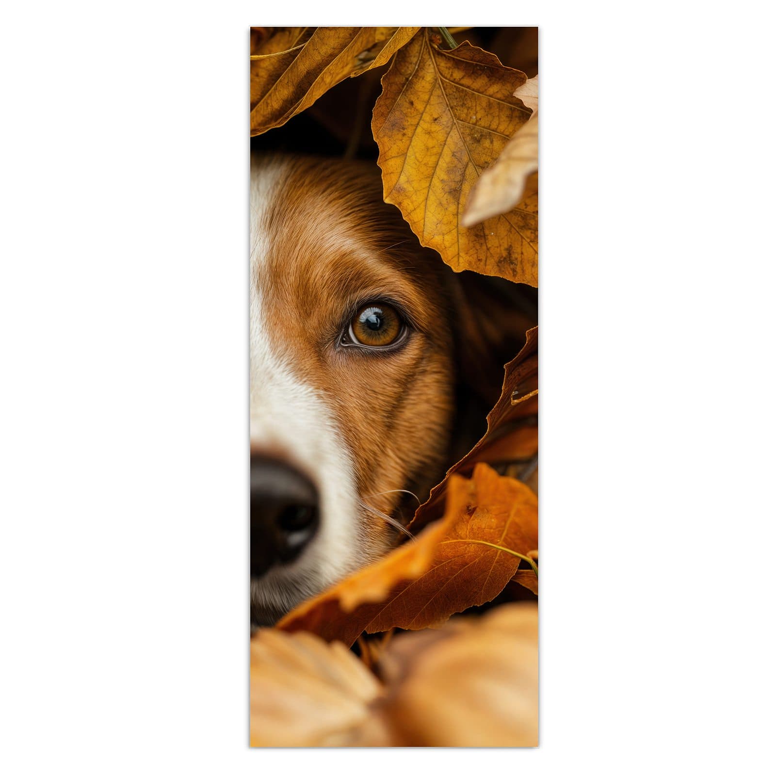 #grösse_50 x 125 cm #grösse_40 x 100 cm #grösse_60 x 150 cm