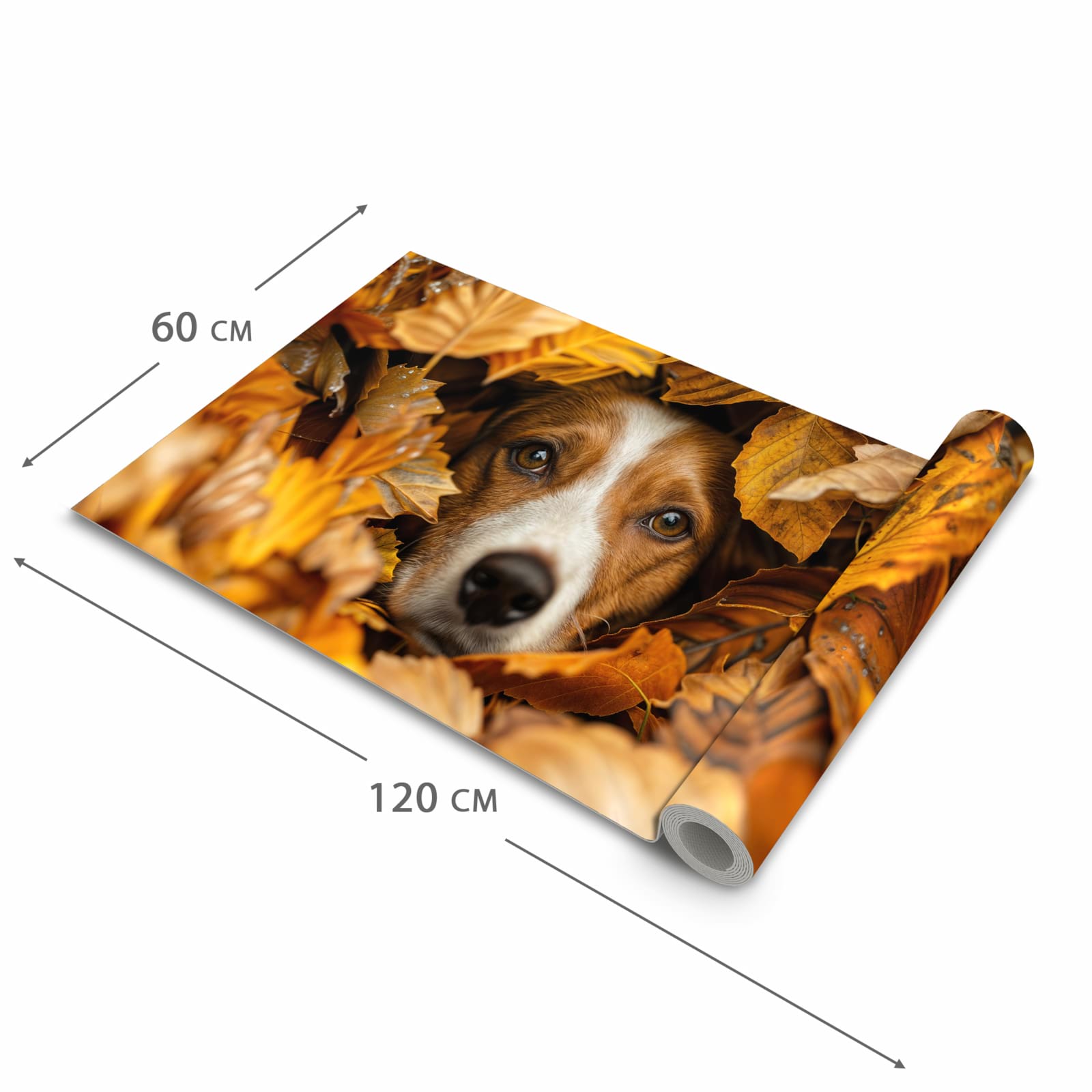 Bodenläufer mit Motiv Hund im Herbstlaub in der Grösse 60x300 cm für Ordnung & Übersicht