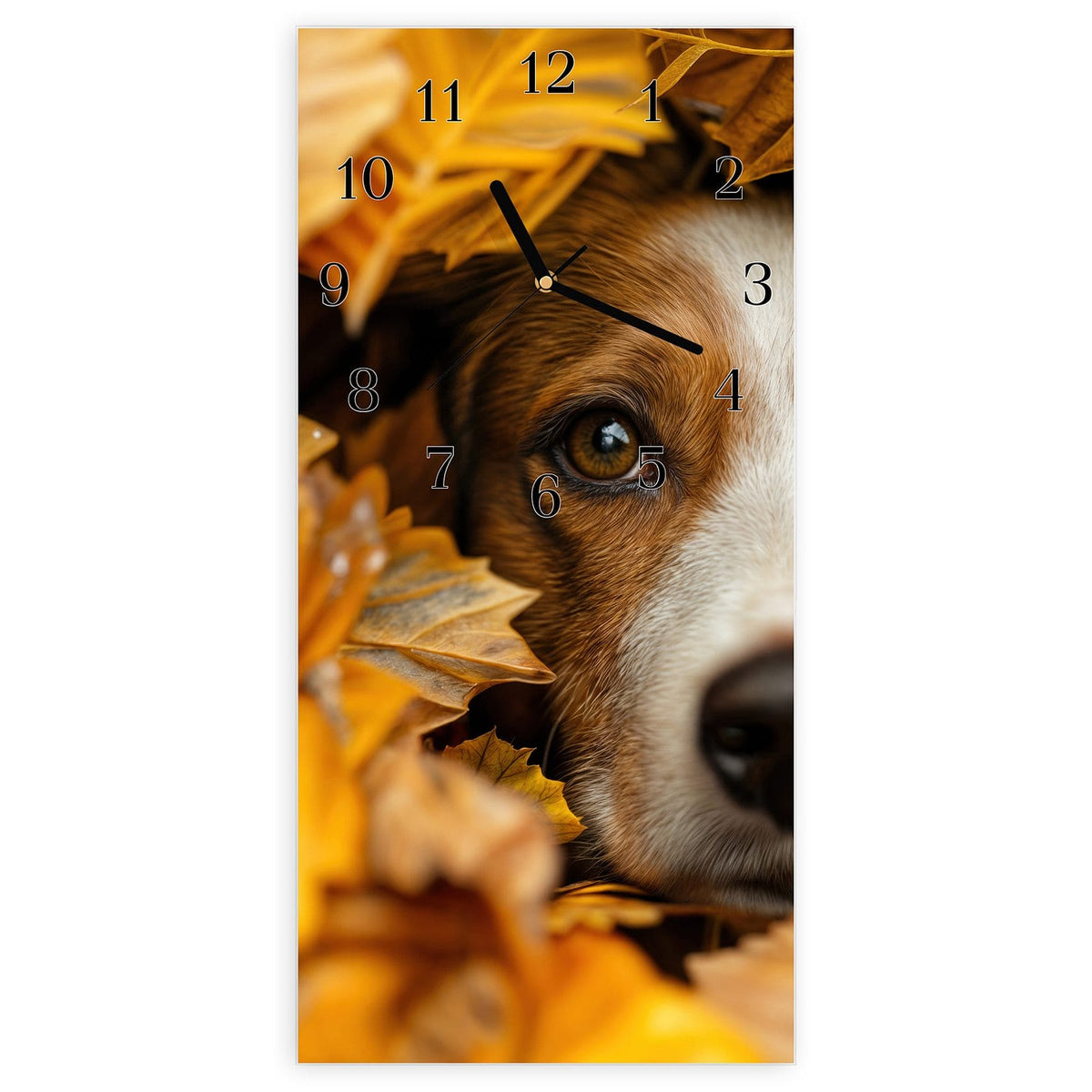 Wanduhr aus Glas, Ziffernblatt Klassisch: Braun-weißer Hundekopf schaut aus einem Haufen goldener Herbstblätter #ziffernblatt_Klassisch