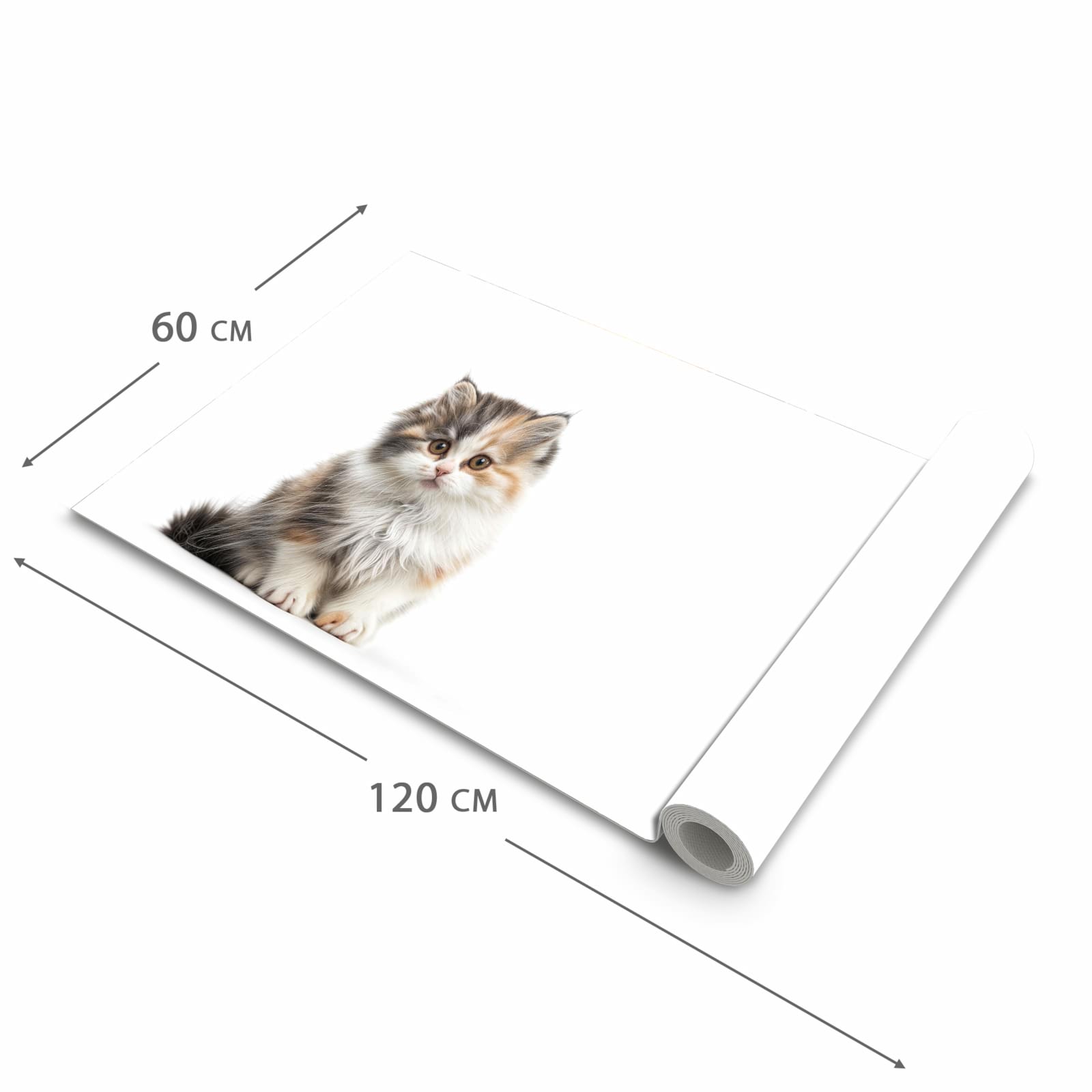 Flacher Küchenläufer mit Motiv Flauschige Katze in der Grösse 60x270 cm