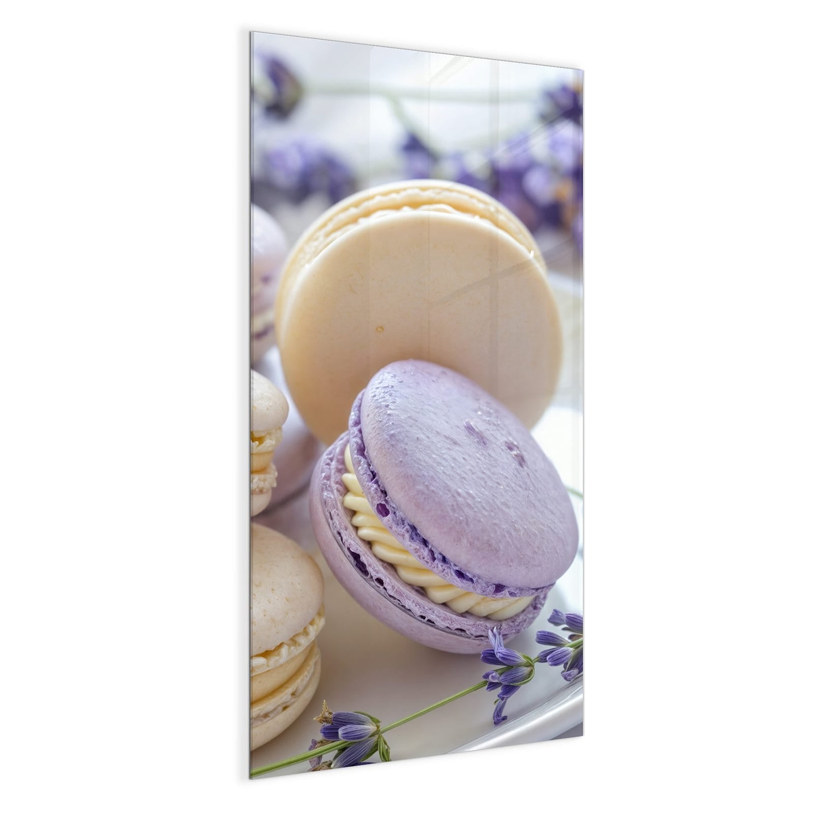 #grösse_50 x 100 cm