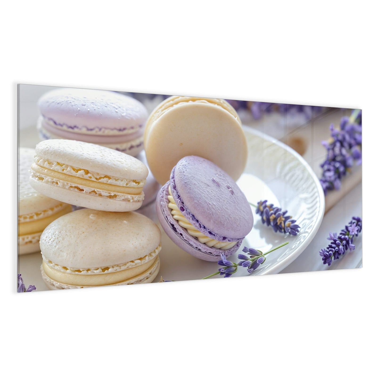 #grösse_100 x 50 cm