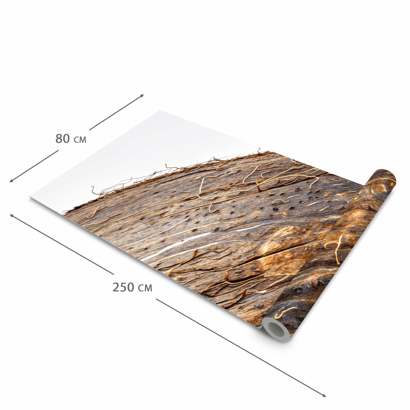 Bodenschonender abwaschbarer Küchenteppich mit Motiv Nuss Schale Detail in der Grösse 60x180 cm