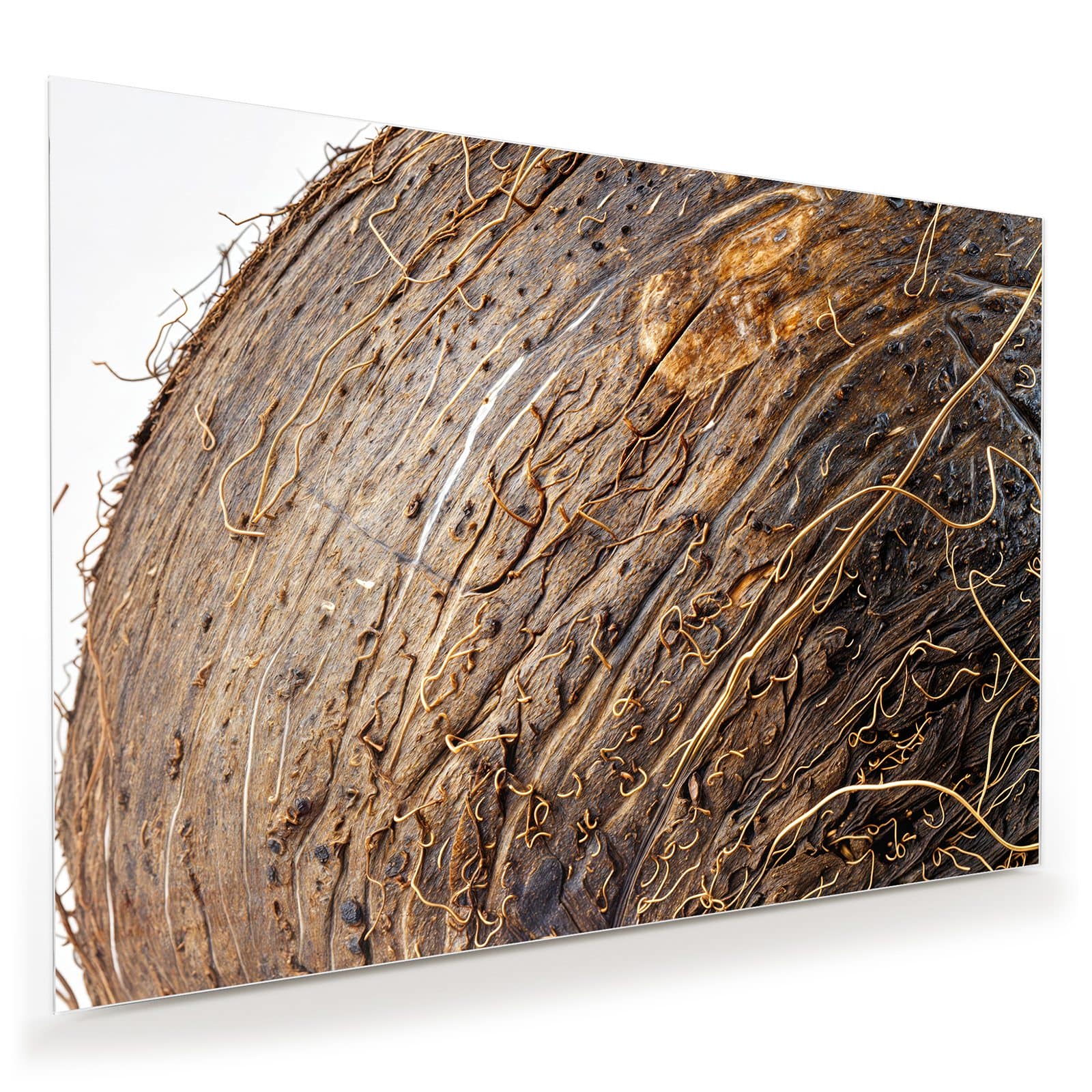 #grösse_100 x 70 cm