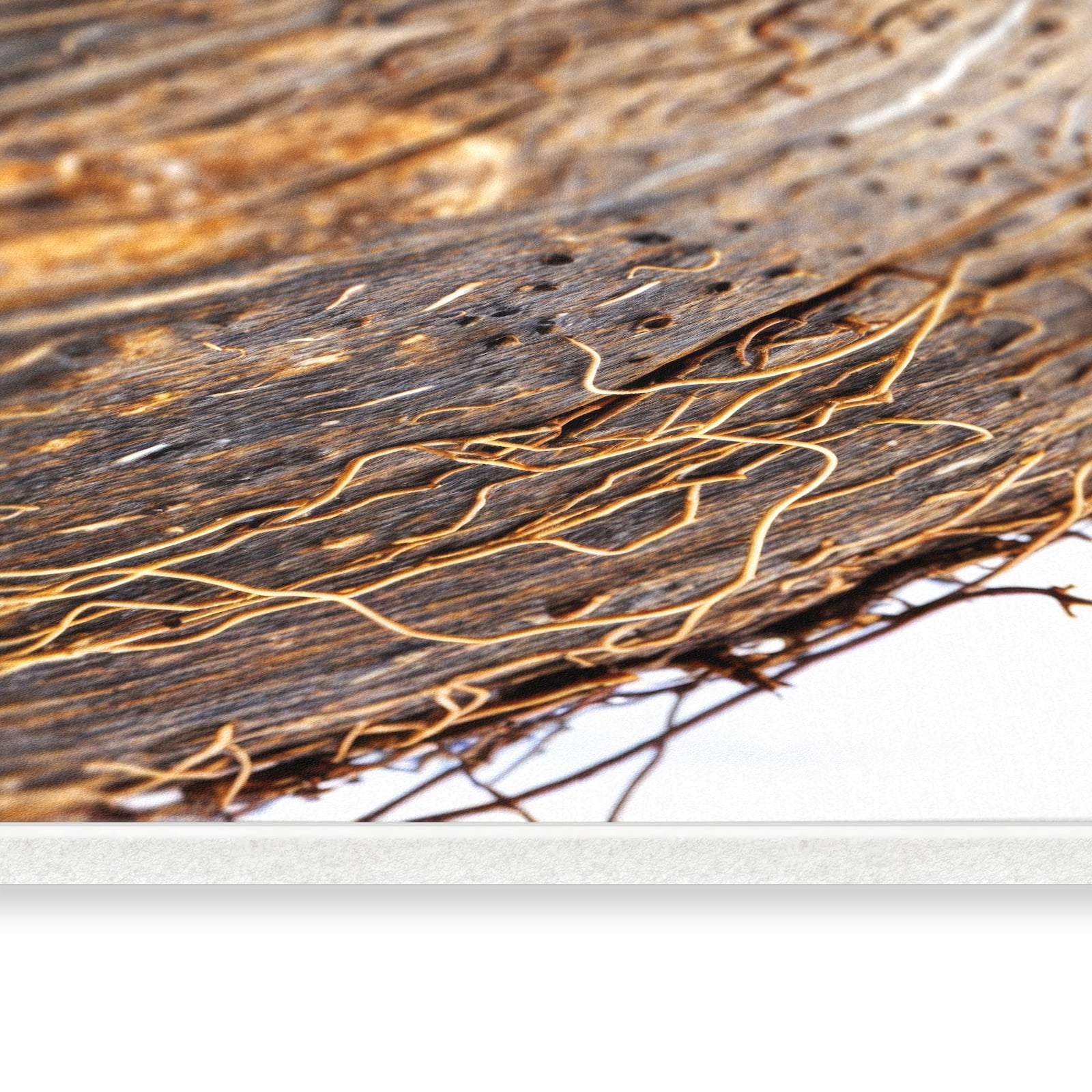 Komfortabler Küchenläufer nach Maß mit Motiv Nuss Schale Detail in seitlicher Ansicht