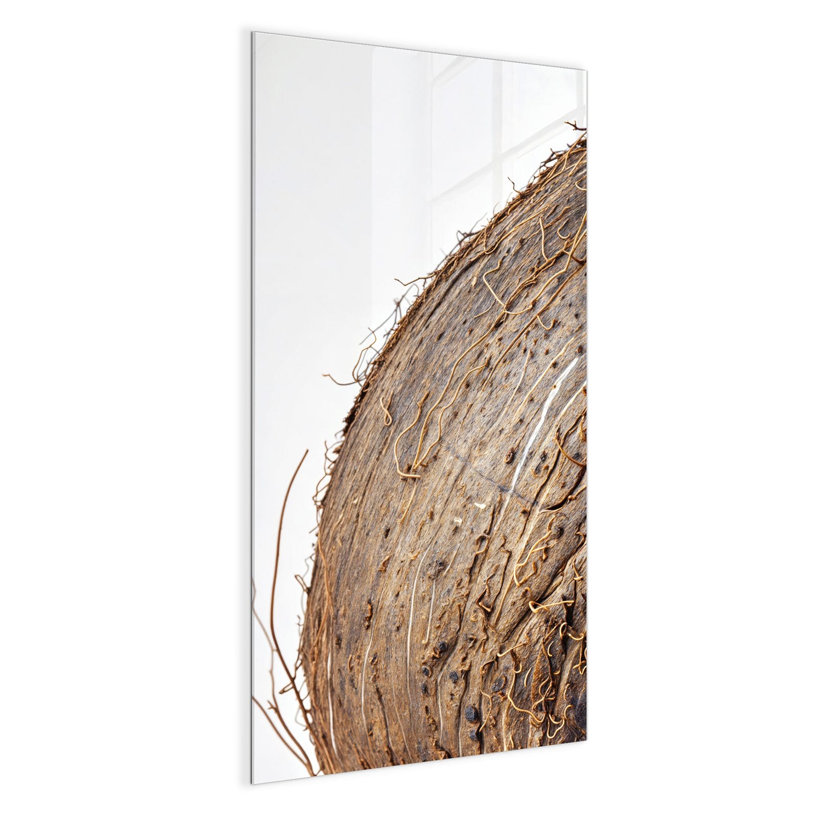 #grösse_50 x 100 cm