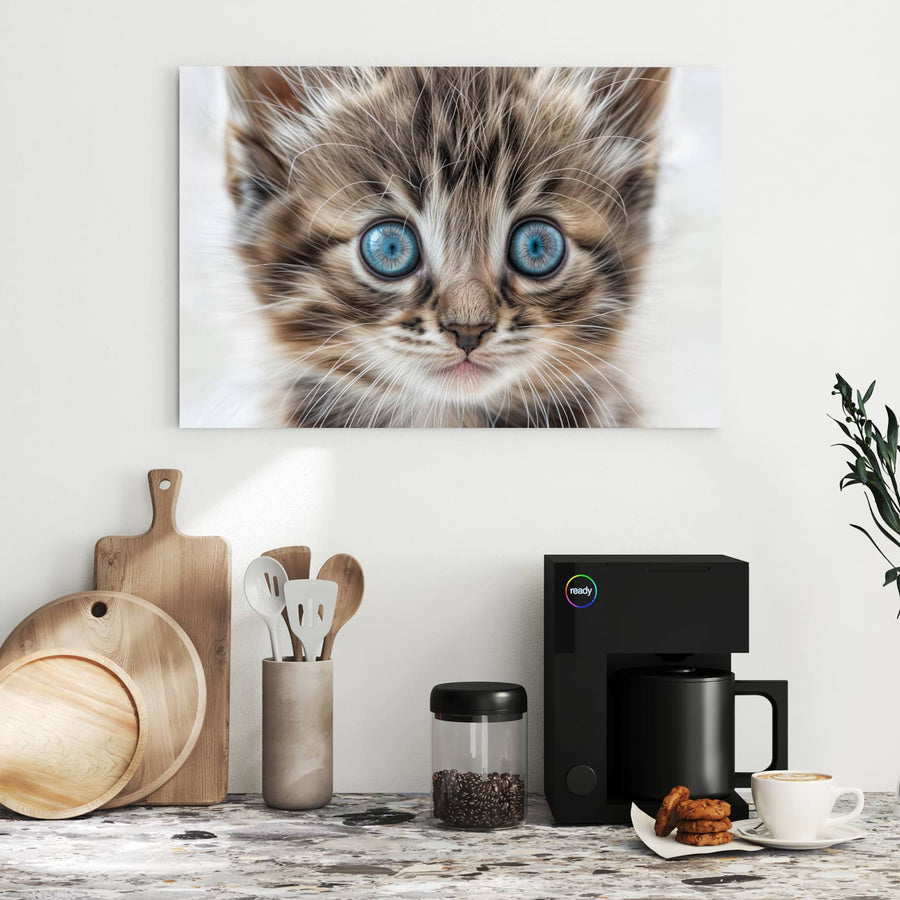 Maße Metall Magnettafel - Blauäugiges Kätzchen