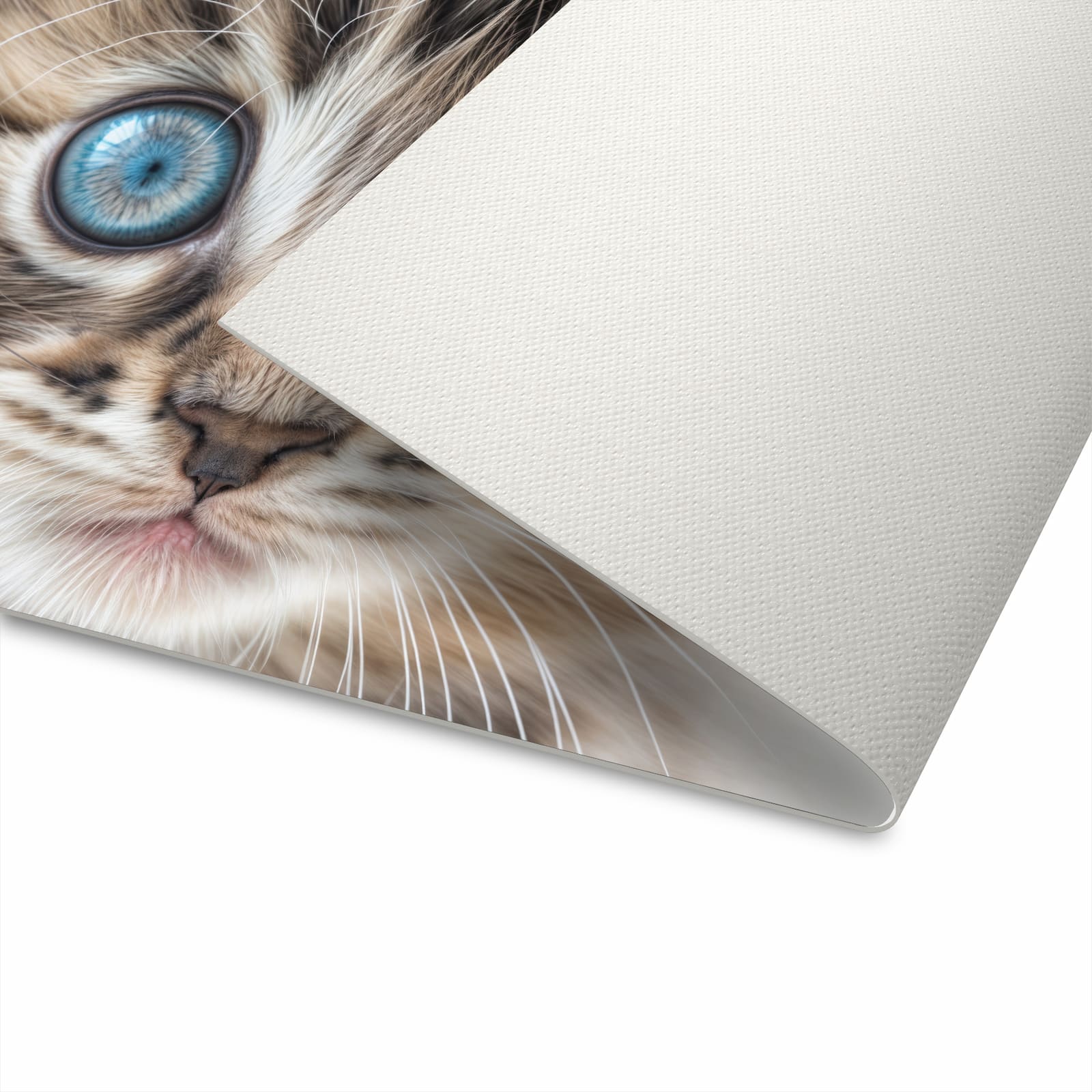 Waschbarer Küchenteppich mit Motiv Blaue Augen Kätzchen in der Unterseite