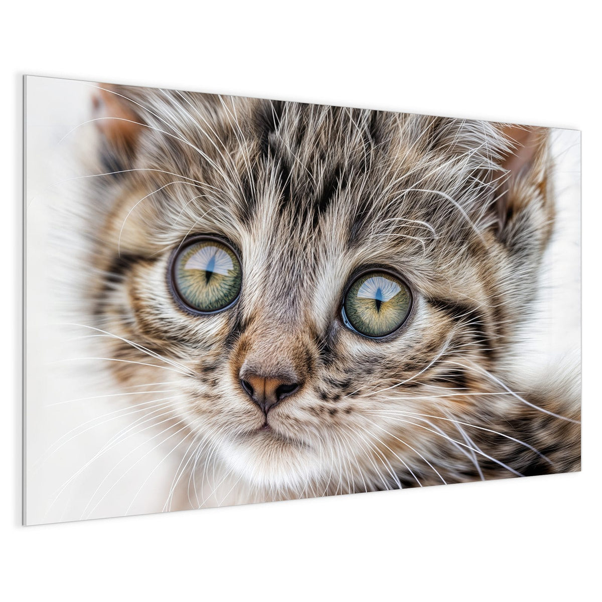 4 mm Glas statt lackiertem Blech – Magnettafel - Neugieriges Katzenjunges