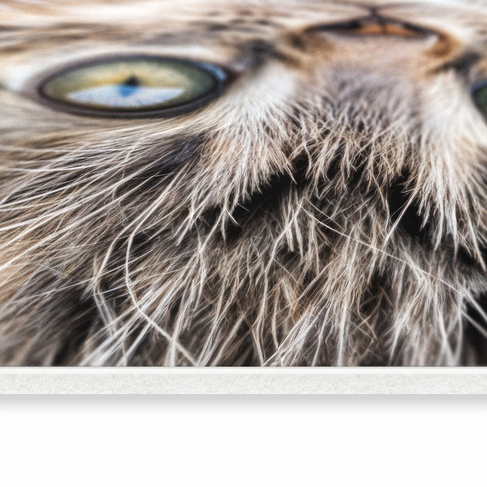 Geräuschdämpfender waschbarer Küchenläufer mit Motiv Katzenjunges trittin in seitlicher Ansicht