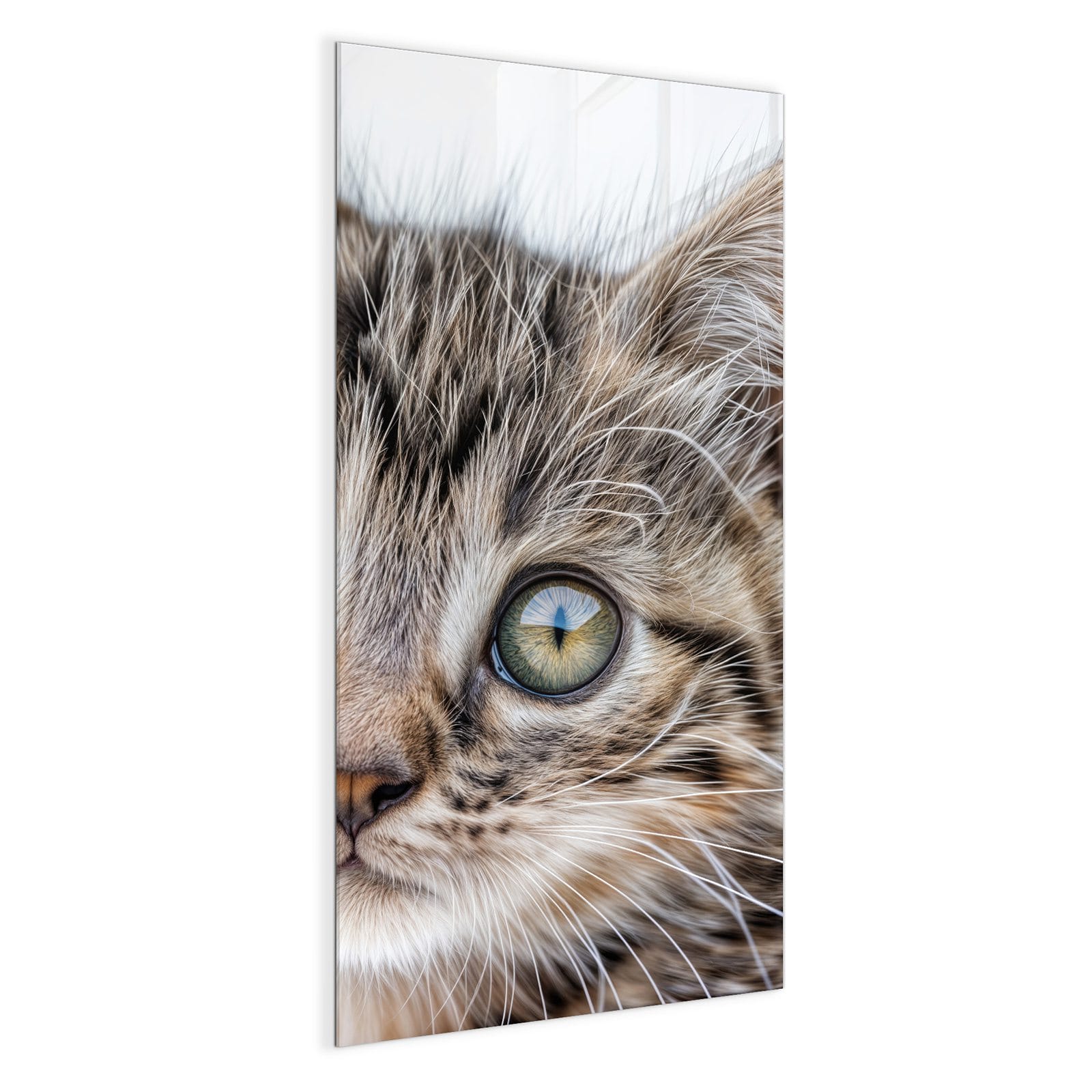 #grösse_50 x 100 cm