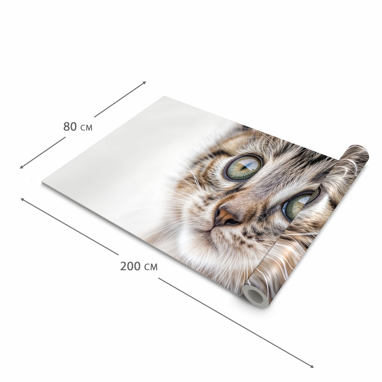 Komfortabler waschbarer Küchenteppich mit Motiv Katzenjunges trittin in der Grösse 60x150 cm