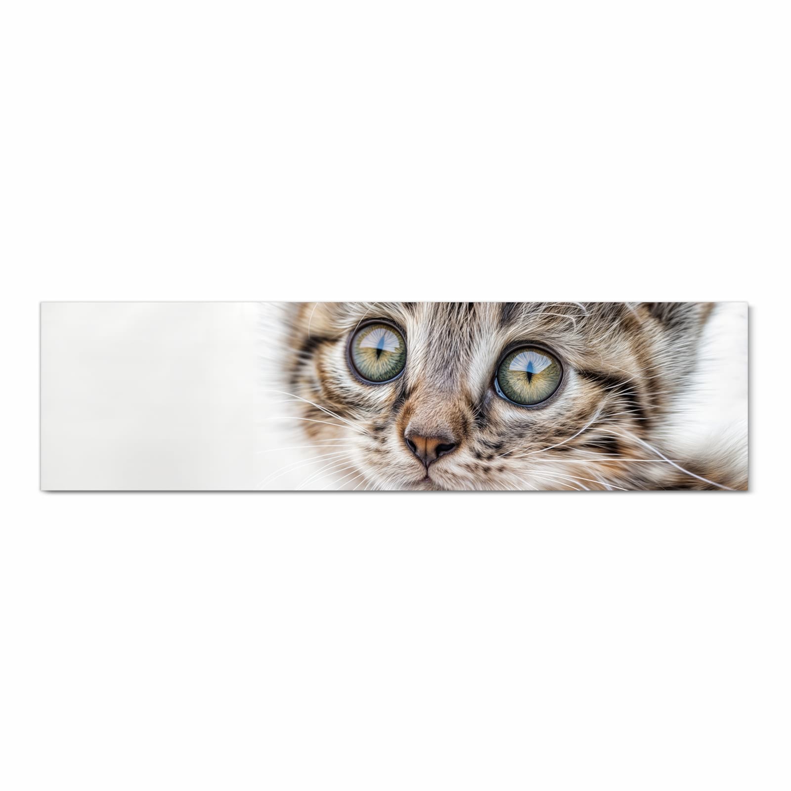 Formstabiler Küchenteppich mit Motiv Katzenjunges trittin in Frontansicht