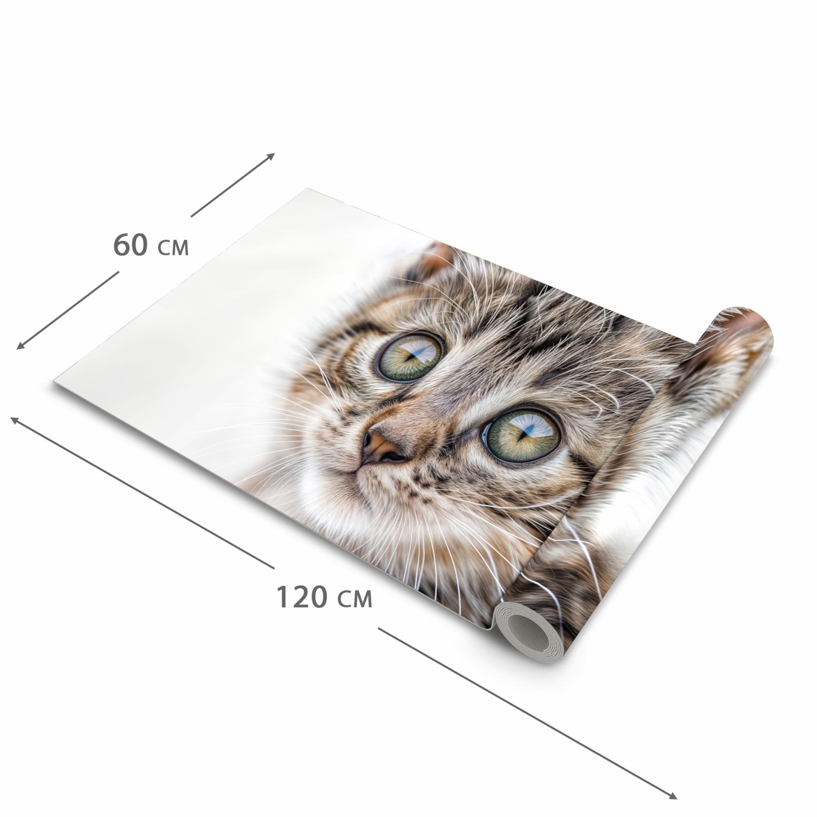 Wasserabweisender Küchenteppich mit Motiv Katzenjunges trittin in der Grösse 60x120 cm