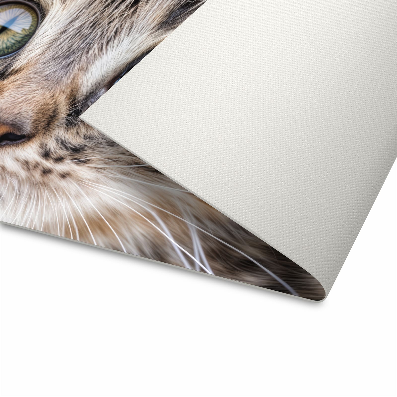 Strapazierfähiger rutschfester Küchenteppich mit Motiv Katzenjunges trittin in Unterseite