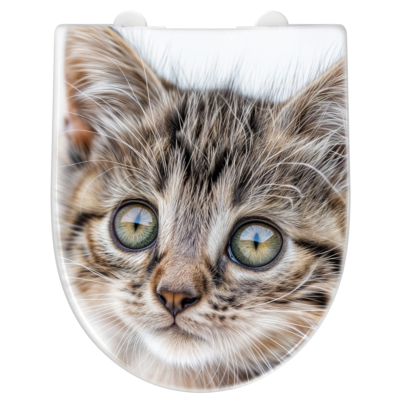 WC-Sitz mit Absenkautomatik Katzenjunges trittin