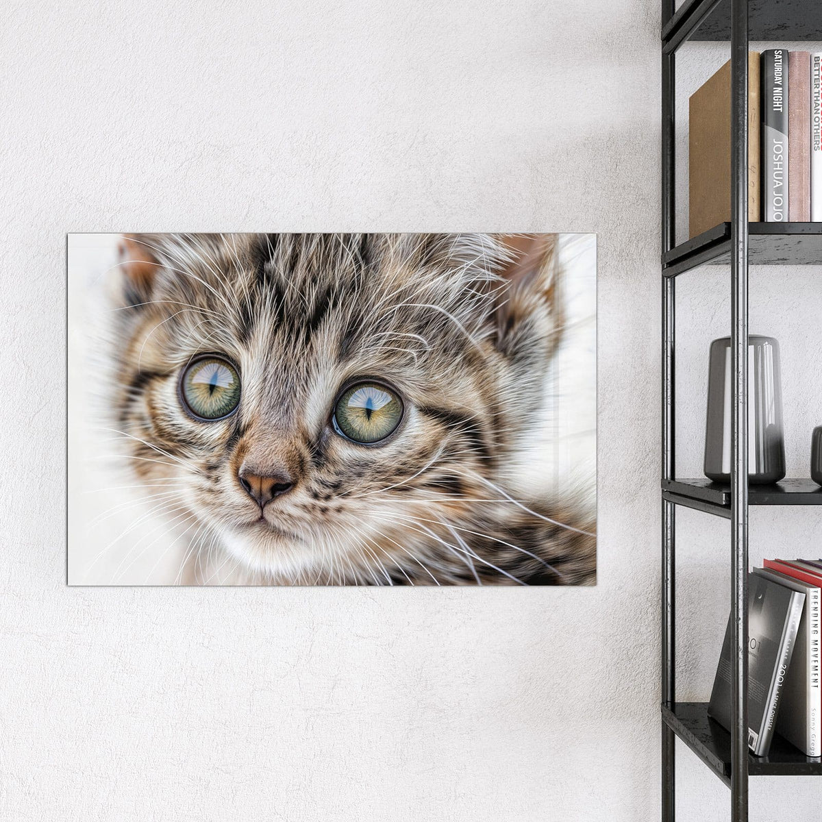 9 Größen – von 30 × 30 bis 120 × 90 cm – Magnettafel - Neugieriges Katzenjunges