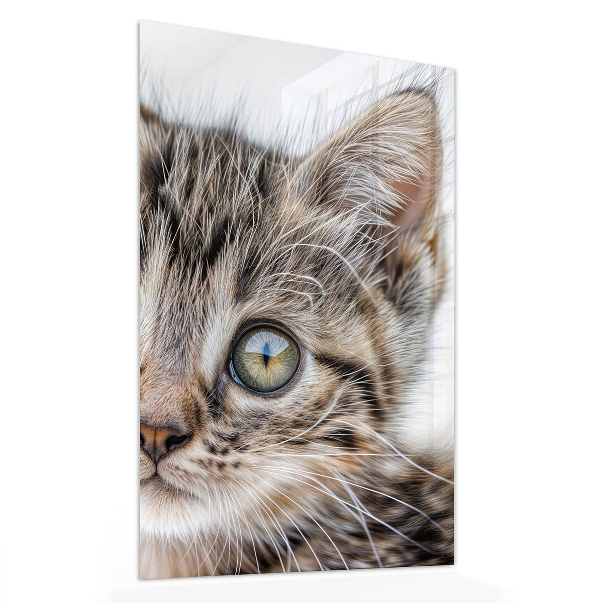 11 Größen – von 30 × 60 bis 60 × 150 cm – Wandbild - Neugieriges Katzenjunges - Hochformat