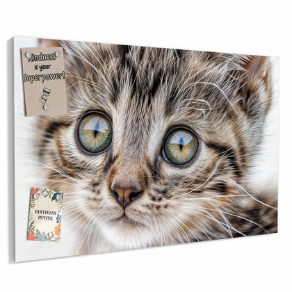 Metall Magnettafel mit dem Motiv Neugieriges Katzenjunges