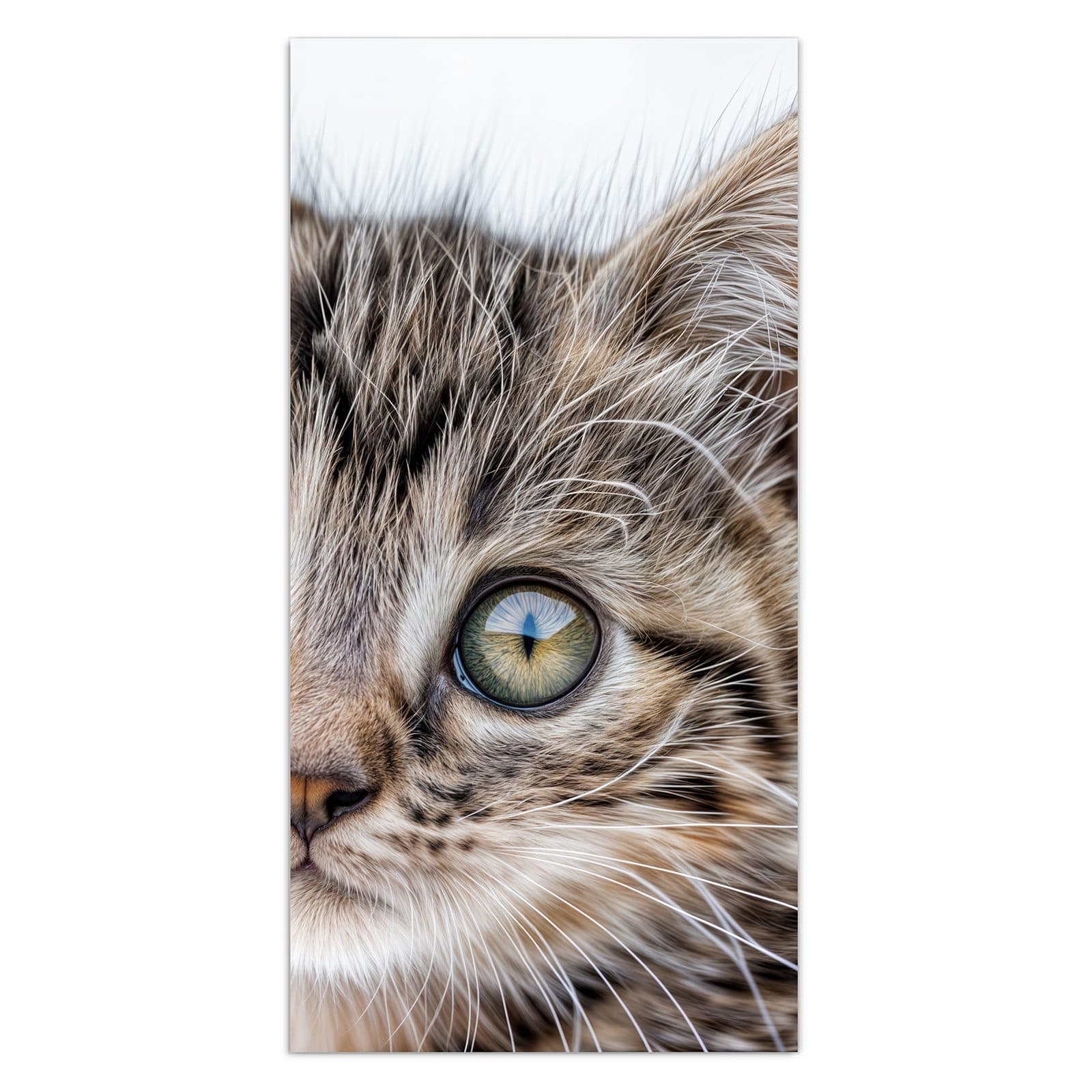 #grösse_30 x 60 cm #grösse_40 x 80 cm #grösse_50 x 100 cm #grösse_55 x 110 cm #grösse_60 x 120 cm