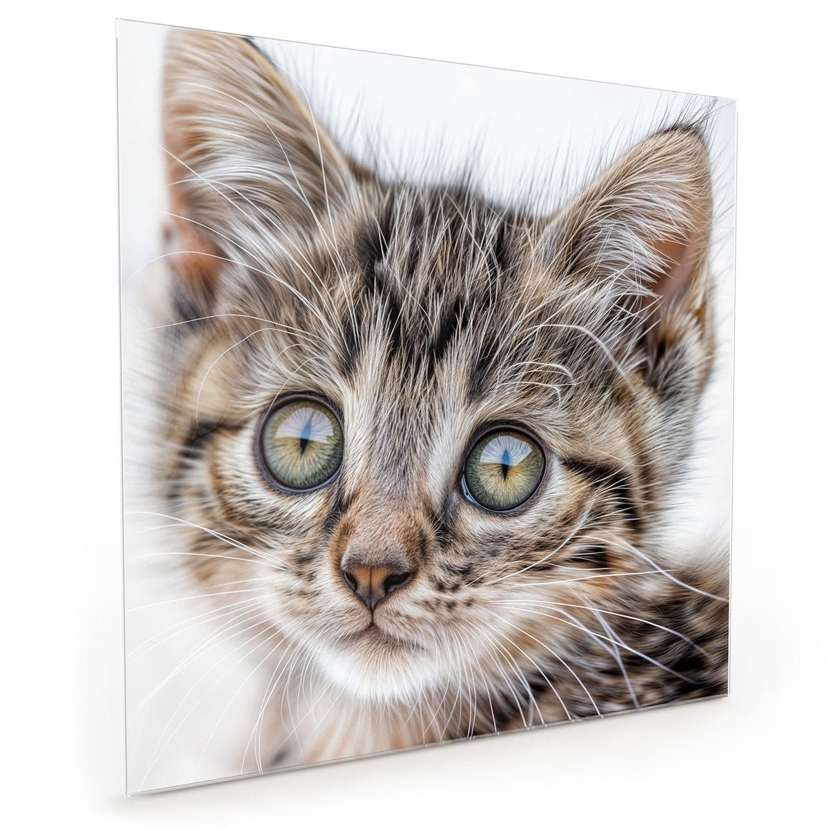#grösse_40 x 40 cm #grösse_50 x 50 cm #grösse_60 x 60 cm