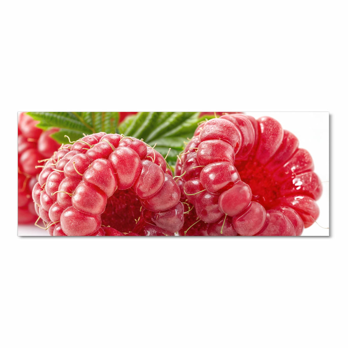 Drei pralle Himbeeren in Makroaufnahme mit grünen Blättern vor Weiß