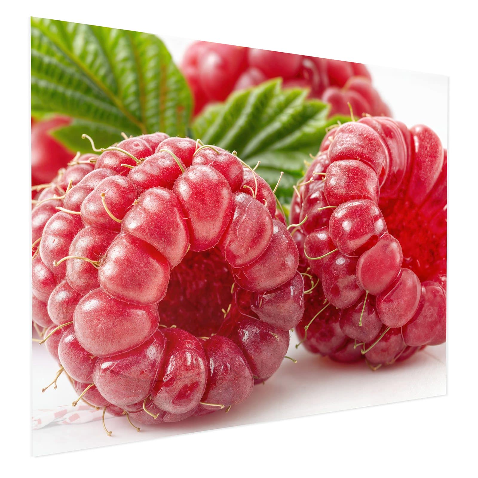 #grösse_75 x 60 cm #grösse_100 x 80 cm