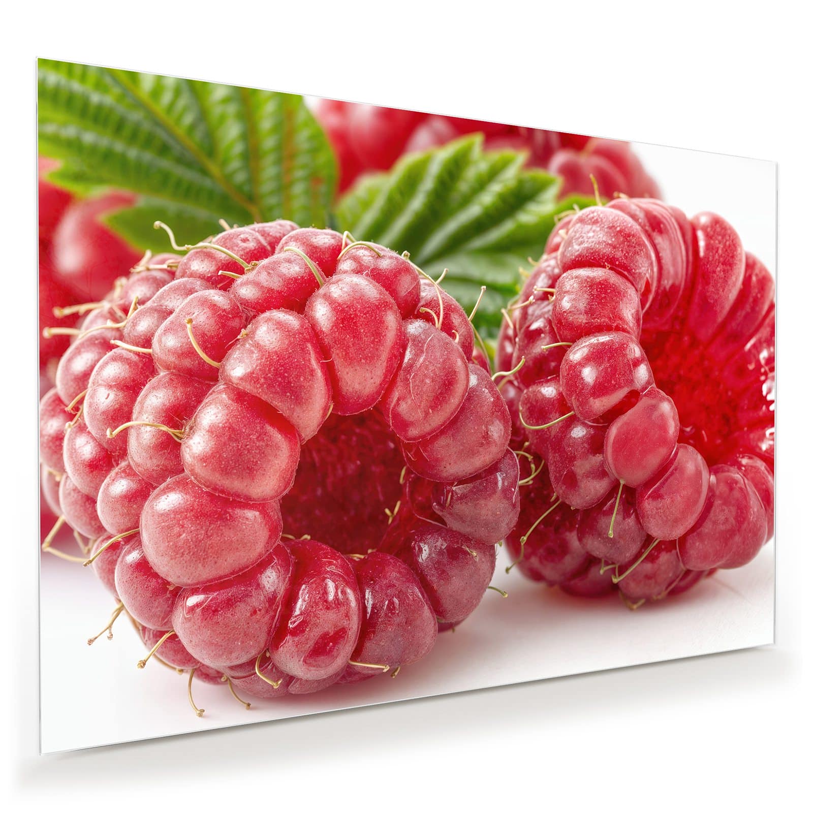 #grösse_100 x 70 cm