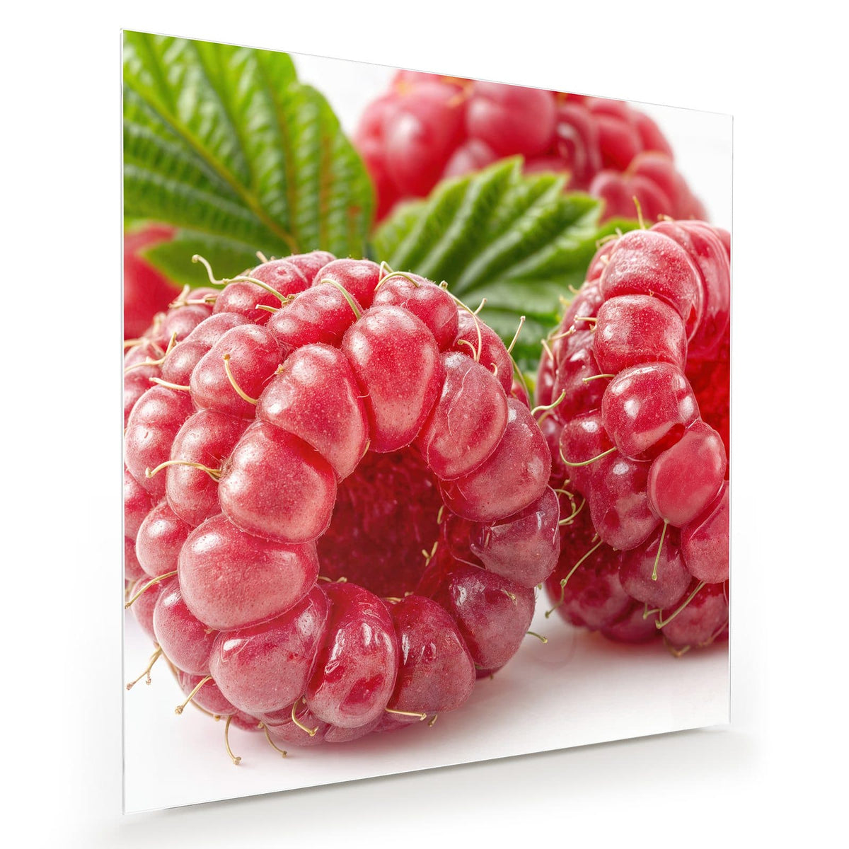 #grösse_30 x 30 cm #grösse_40 x 40 cm #grösse_50 x 50 cm #grösse_60 x 60 cm #grösse_70 x 70 cm #grösse_80 x 80 cm #grösse_90 x 90 cm #grösse_100 x 100 cm