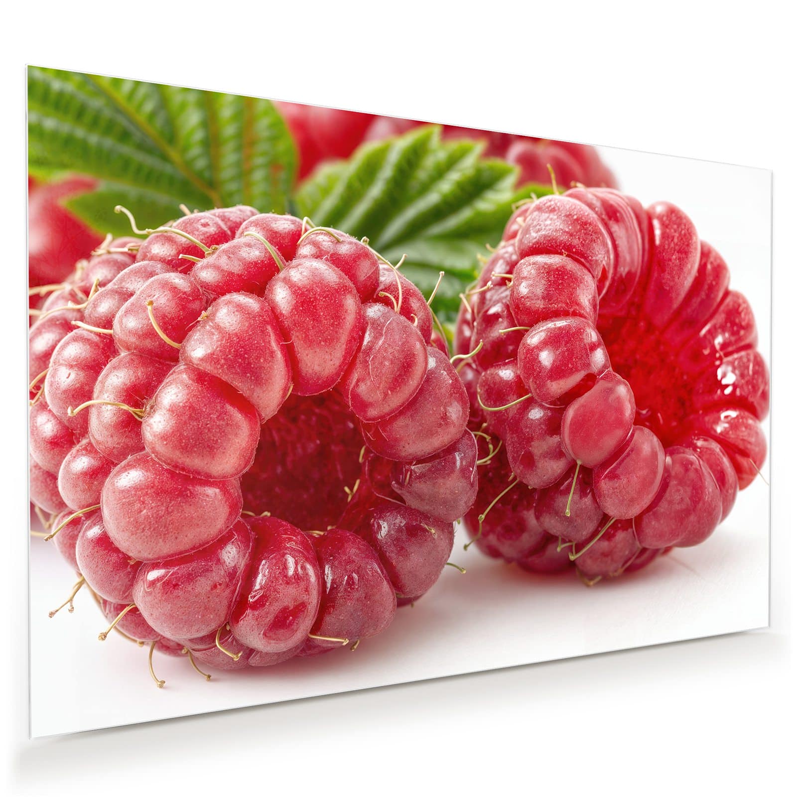 #grösse_45 x 30 cm #grösse_60 x 40 cm #grösse_75 x 50 cm #grösse_90 x 60 cm #grösse_120 x 80 cm