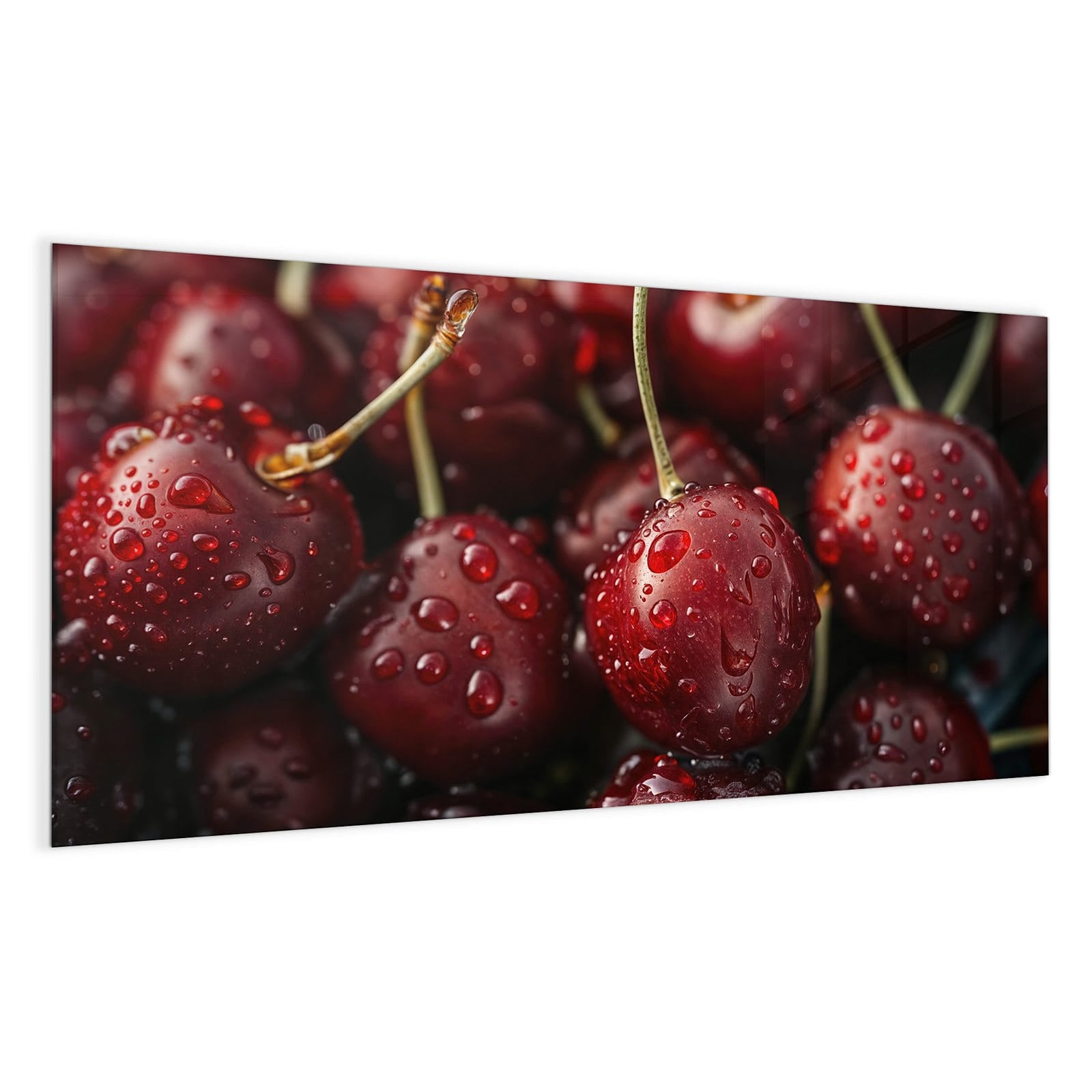 #grösse_100 x 50 cm