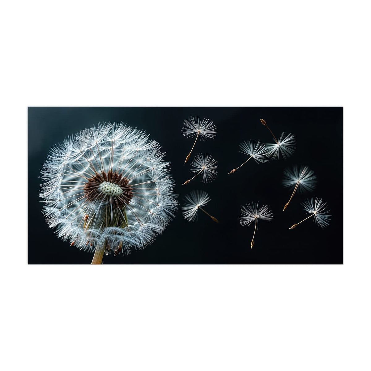 Küchenrückwand aus Glas Fliegende Pusteblume im Hochformat, Motiv bildfüllend von vorn
