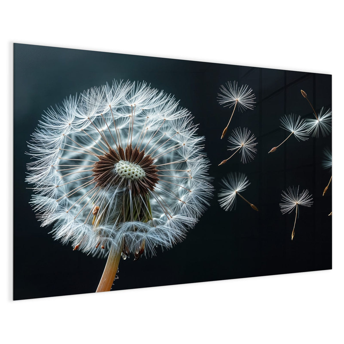 4 mm Glas statt lackiertem Blech – Magnettafel - Fliegende Pusteblume