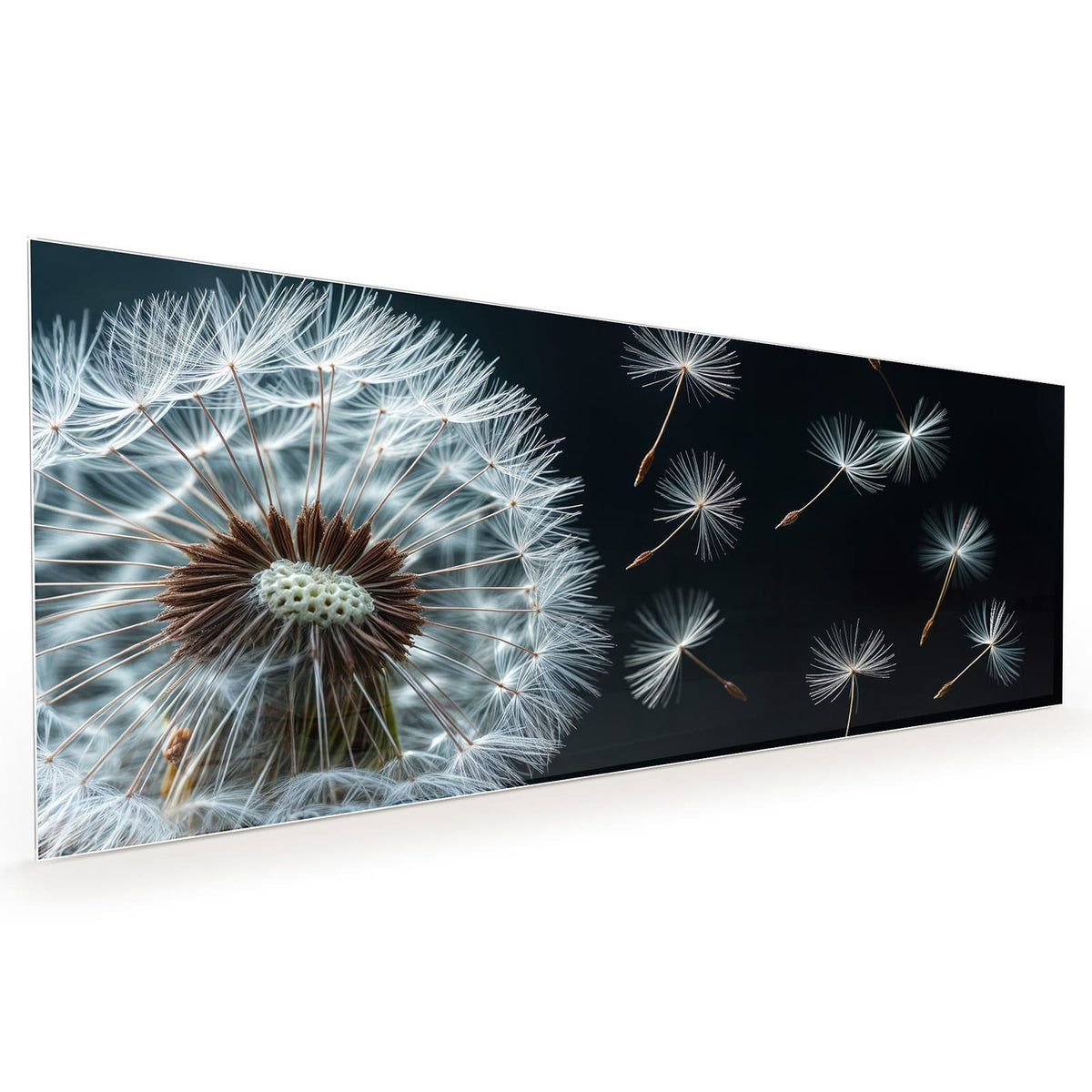 Küchenrückwand aus Glas im Hochformat: Eine große Pusteblume vor fast schwarzem Grund, drei Samen fliegen nach rechts weg