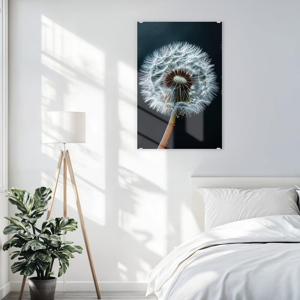 Glasbild Fliegende Pusteblume an der Wand – Eine große Pusteblume vor fast schwarzem Grund, drei Samen fliegen nach rechts weg