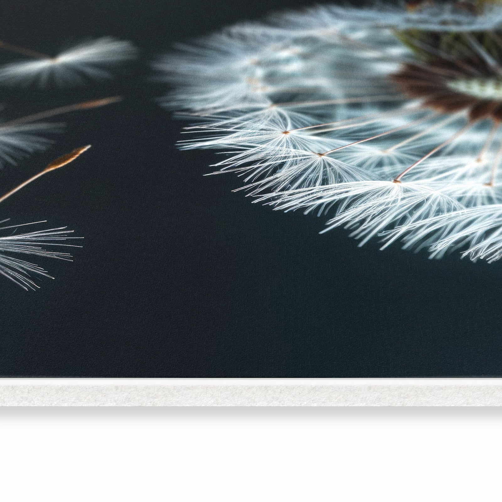 Küchenläufer mit Motiv Pusteblume bei Wind in seitlicher Ansicht für Ordnung & Übersicht