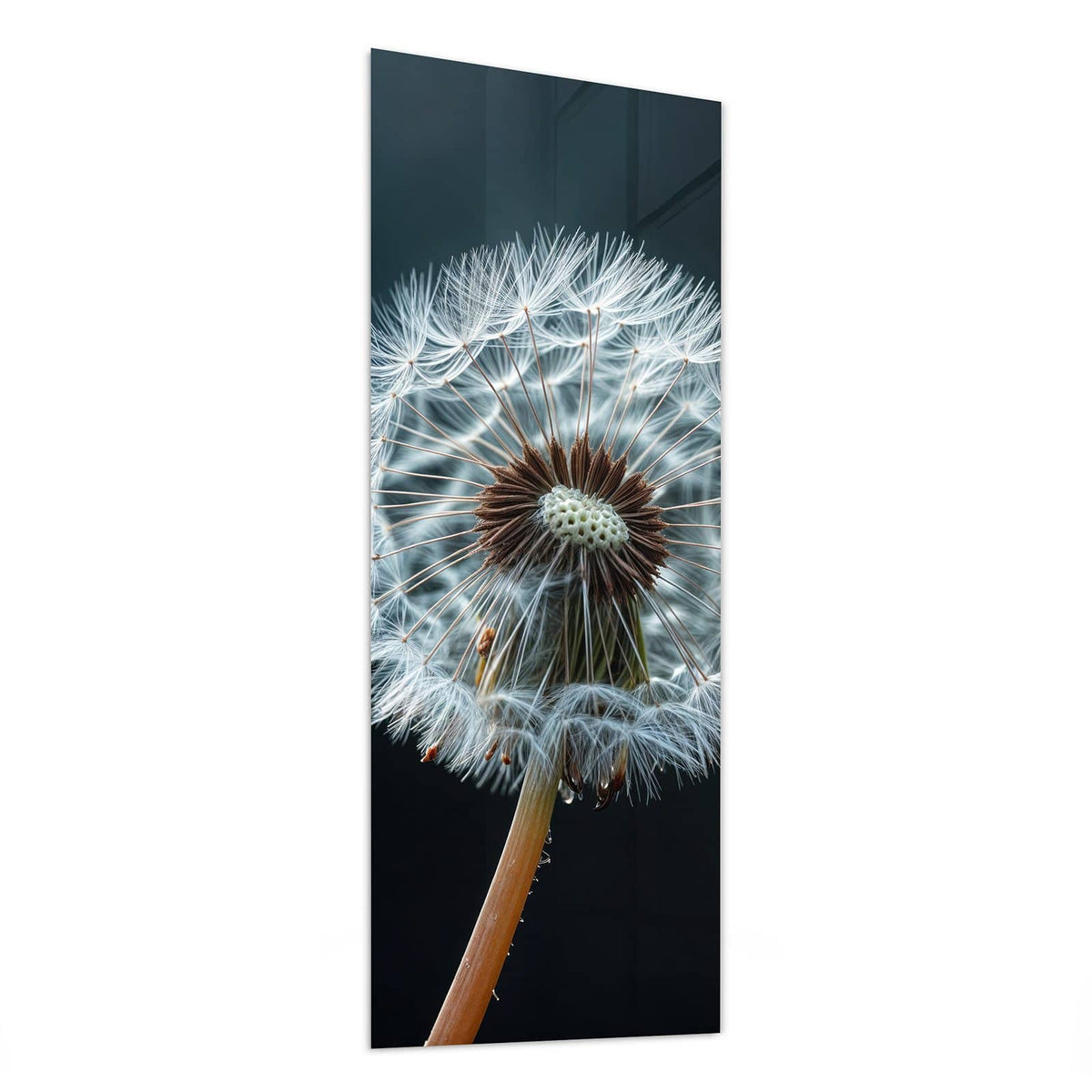 Glasbild Fliegende Pusteblume von der Seite, 4 mm Echtglas