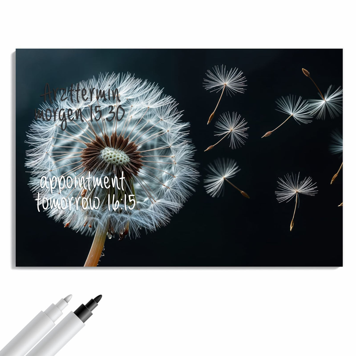 Beschreiben, abwischen, anheften – Metall Magnettafel - Fliegende Pusteblume