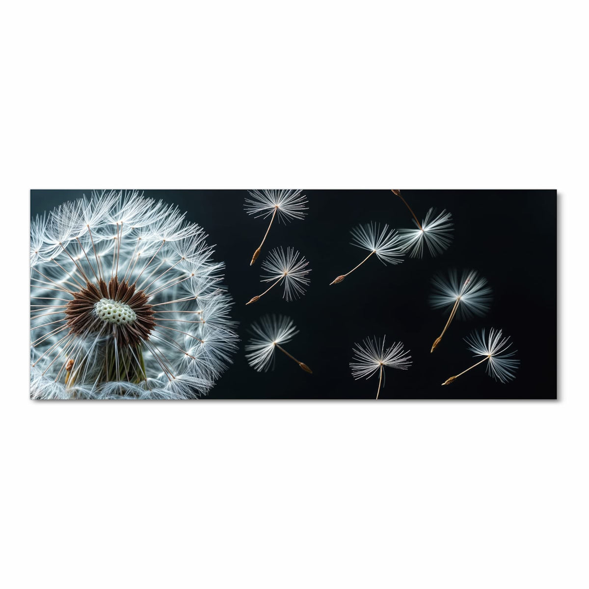 Eine große Pusteblume vor fast schwarzem Grund, drei Samen fliegen nach rechts weg