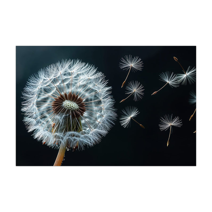 Maße Küchenrückwand Fliegende Pusteblume aus Glas