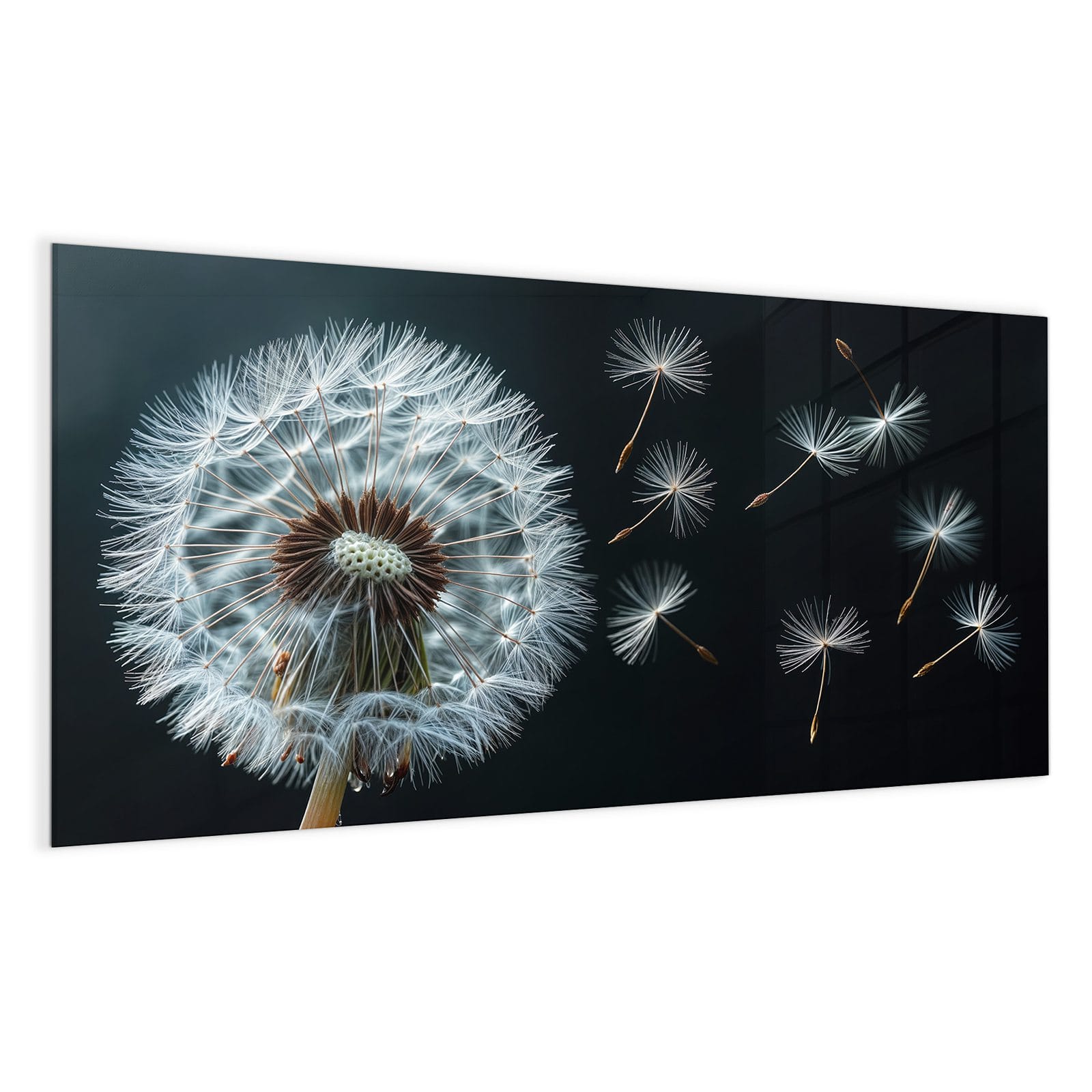 #grösse_100 x 50 cm