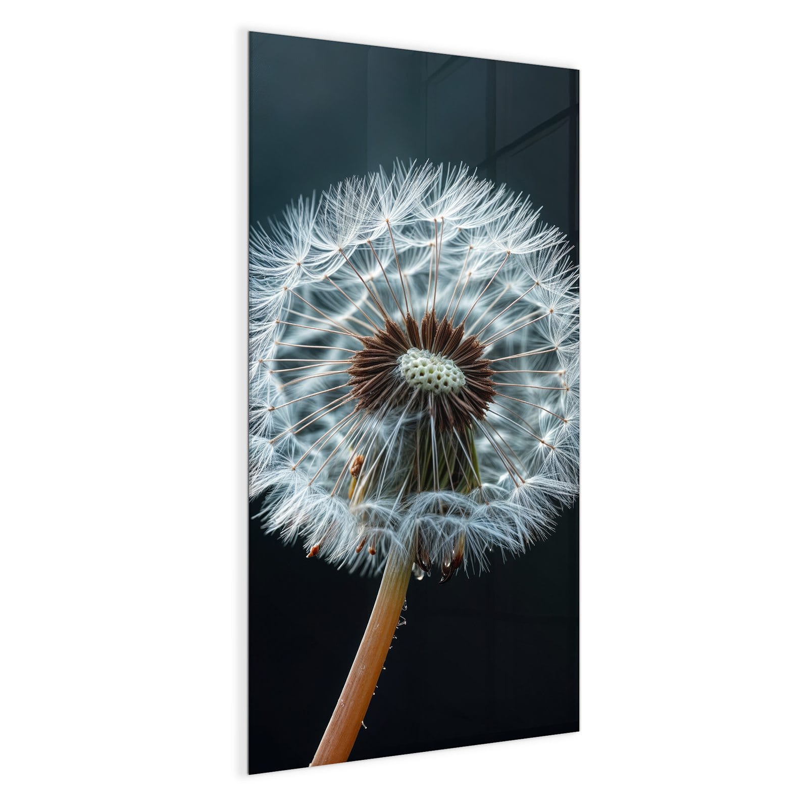 #grösse_50 x 100 cm