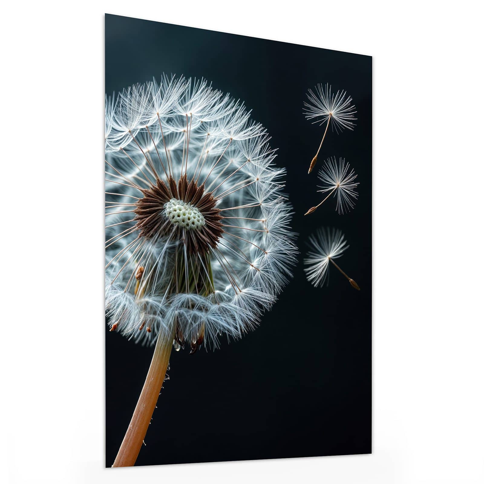 #grösse_30 x 40 cm #grösse_60 x 80 cm #grösse_75 x 100 cm