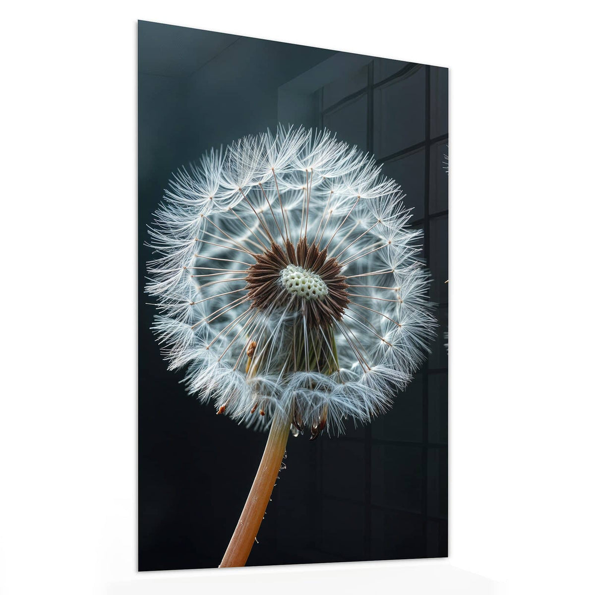 Glasbild Fliegende Pusteblume von der Seite, 4 mm Echtglas