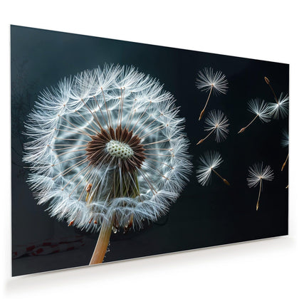 Wandbild mit dem Motiv Fliegende Pusteblume